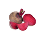 Beetroot 500g