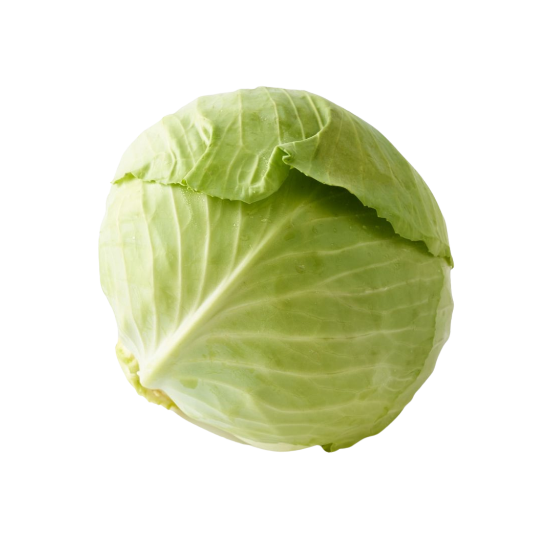 White Cabbage