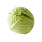 White Cabbage