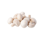 Mashroom - 1pack