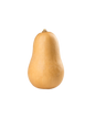 Butternut pumpkin