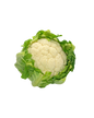 Cauliflower white France