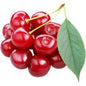 Cherry Red South Africa