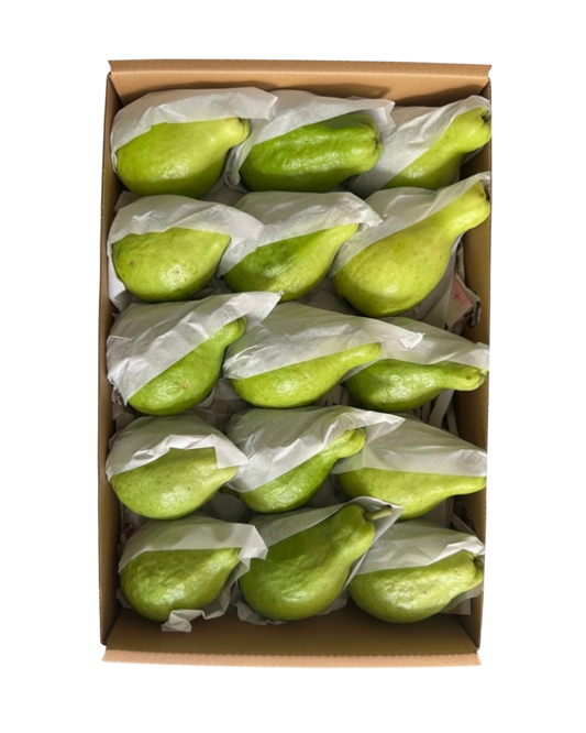 Guava Egypt Box