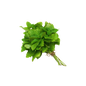 vegetable delivery
