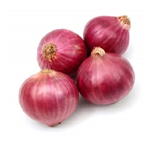Red Onion