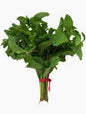 Mint Leaves