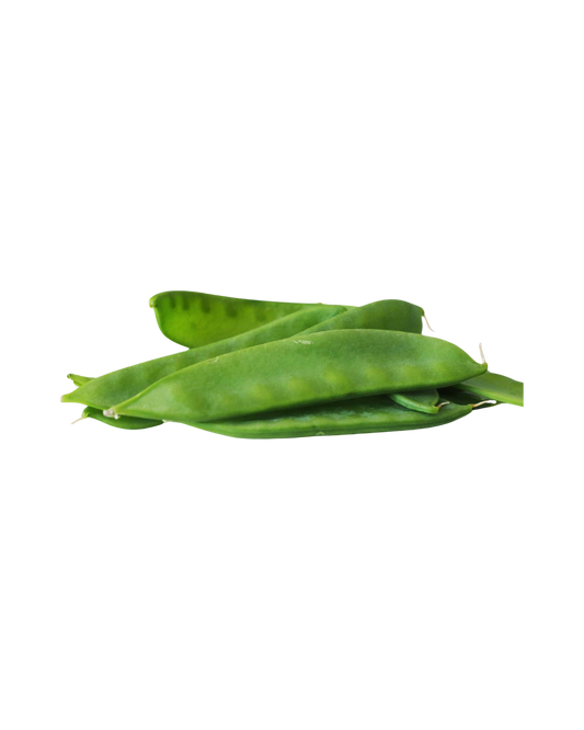 snow-pea_kenya