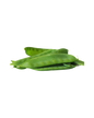 snow-pea_kenya