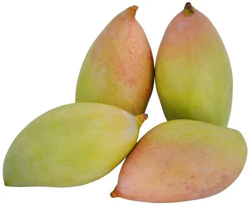 Totapuri-mango