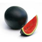 watermelon India